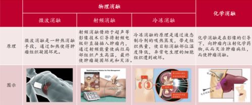 南微醫學 688029 微創診療器械龍頭