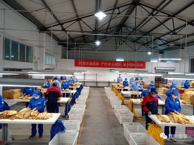 湖北竹山縣煙葉分公司切實做好煙葉收購現(xiàn)場管理